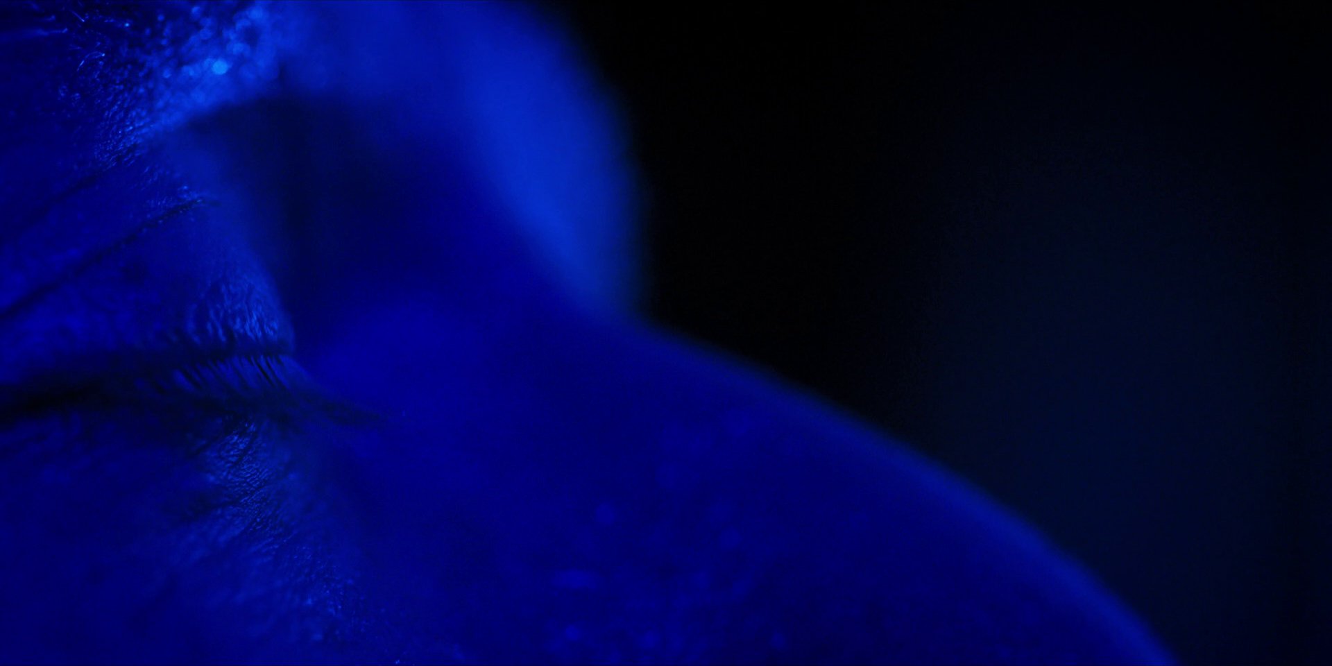 extant_StarTrekDiscovery_1x13-WhatsPastIsPrologue_4290.jpg