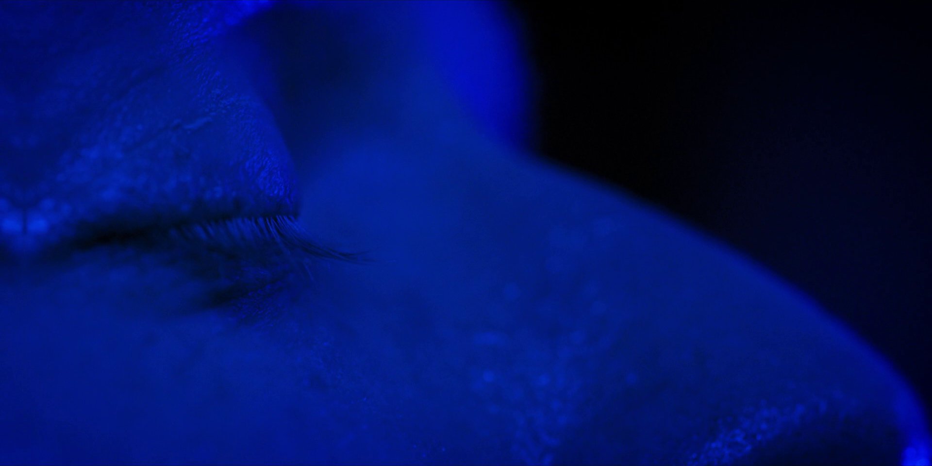 extant_StarTrekDiscovery_1x13-WhatsPastIsPrologue_4294.jpg