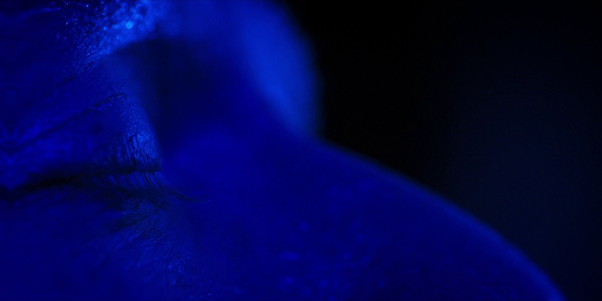 extant_StarTrekDiscovery_1x13-WhatsPastIsPrologue_4303.jpg