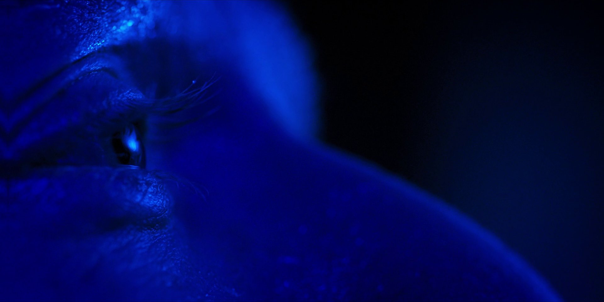 extant_StarTrekDiscovery_1x13-WhatsPastIsPrologue_4306.jpg
