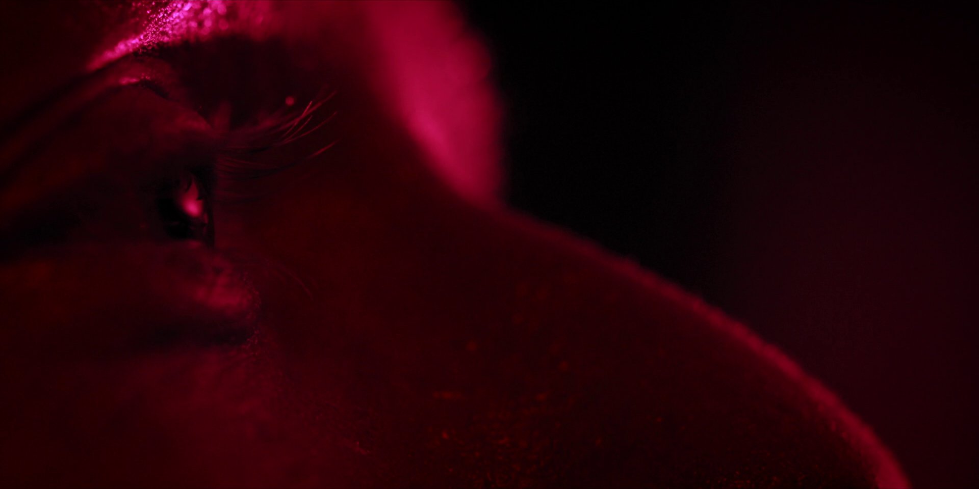 extant_StarTrekDiscovery_1x13-WhatsPastIsPrologue_4377.jpg
