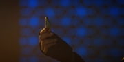 Filename=extant_StarTrekDiscovery_1x13-WhatsPastIsPrologue_2360.jpg
Filesize=127KiB
Dimensions=1920x960
Date added=Jan 02, 2019 extant_StarTrekDiscovery_1x13-WhatsPastIsPrologue_2360.jpg