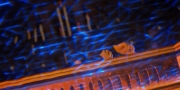 extant_StarTrekDiscovery_1x13-WhatsPastIsPrologue_3771.jpg