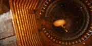 extant_StarTrekDiscovery_1x13-WhatsPastIsPrologue_3779.jpg