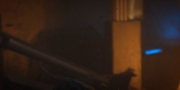 Filename=extant_StarTrekDiscovery_1x13-WhatsPastIsPrologue_3928.jpg
Filesize=100KiB
Dimensions=1920x960
Date added=Jan 03, 2019 extant_StarTrekDiscovery_1x13-WhatsPastIsPrologue_3928.jpg