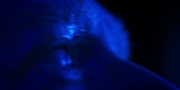 Filename=extant_StarTrekDiscovery_1x13-WhatsPastIsPrologue_4268.jpg
Filesize=70KiB
Dimensions=1920x960
Date added=Jan 03, 2019 extant_StarTrekDiscovery_1x13-WhatsPastIsPrologue_4268.jpg