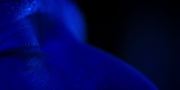 extant_StarTrekDiscovery_1x13-WhatsPastIsPrologue_4290.jpg