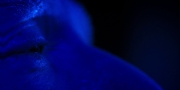 extant_StarTrekDiscovery_1x13-WhatsPastIsPrologue_4304.jpg