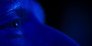 extant_StarTrekDiscovery_1x13-WhatsPastIsPrologue_4305.jpg