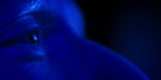 extant_StarTrekDiscovery_1x13-WhatsPastIsPrologue_4306.jpg