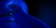 extant_StarTrekDiscovery_1x13-WhatsPastIsPrologue_4307.jpg