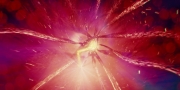 extant_StarTrekDiscovery_1x13-WhatsPastIsPrologue_4330.jpg