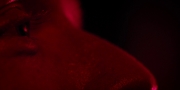 Filename=extant_StarTrekDiscovery_1x13-WhatsPastIsPrologue_4376.jpg
Filesize=60KiB
Dimensions=1920x960
Date added=Jan 03, 2019 extant_StarTrekDiscovery_1x13-WhatsPastIsPrologue_4376.jpg