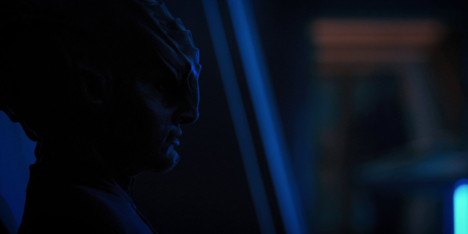extant_StarTrekDiscovery_1x14-TheWarWithoutTheWarWithin_2499.jpg