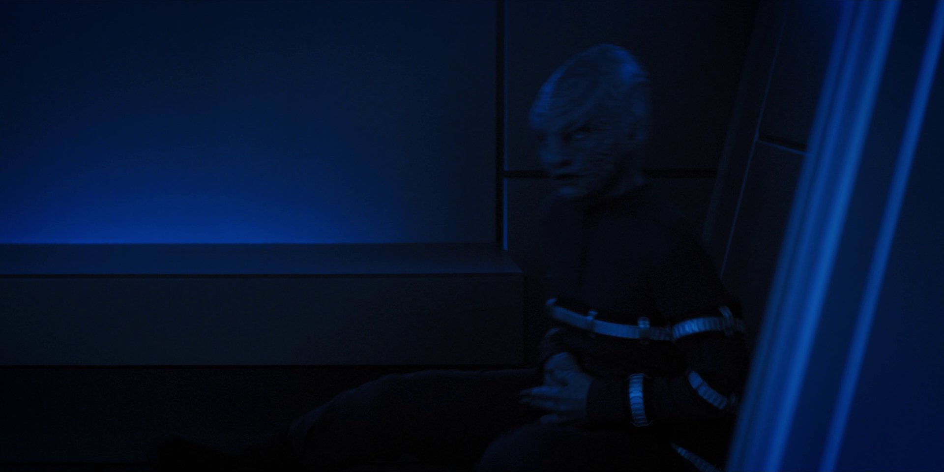 extant_StarTrekDiscovery_1x14-TheWarWithoutTheWarWithin_2504.jpg