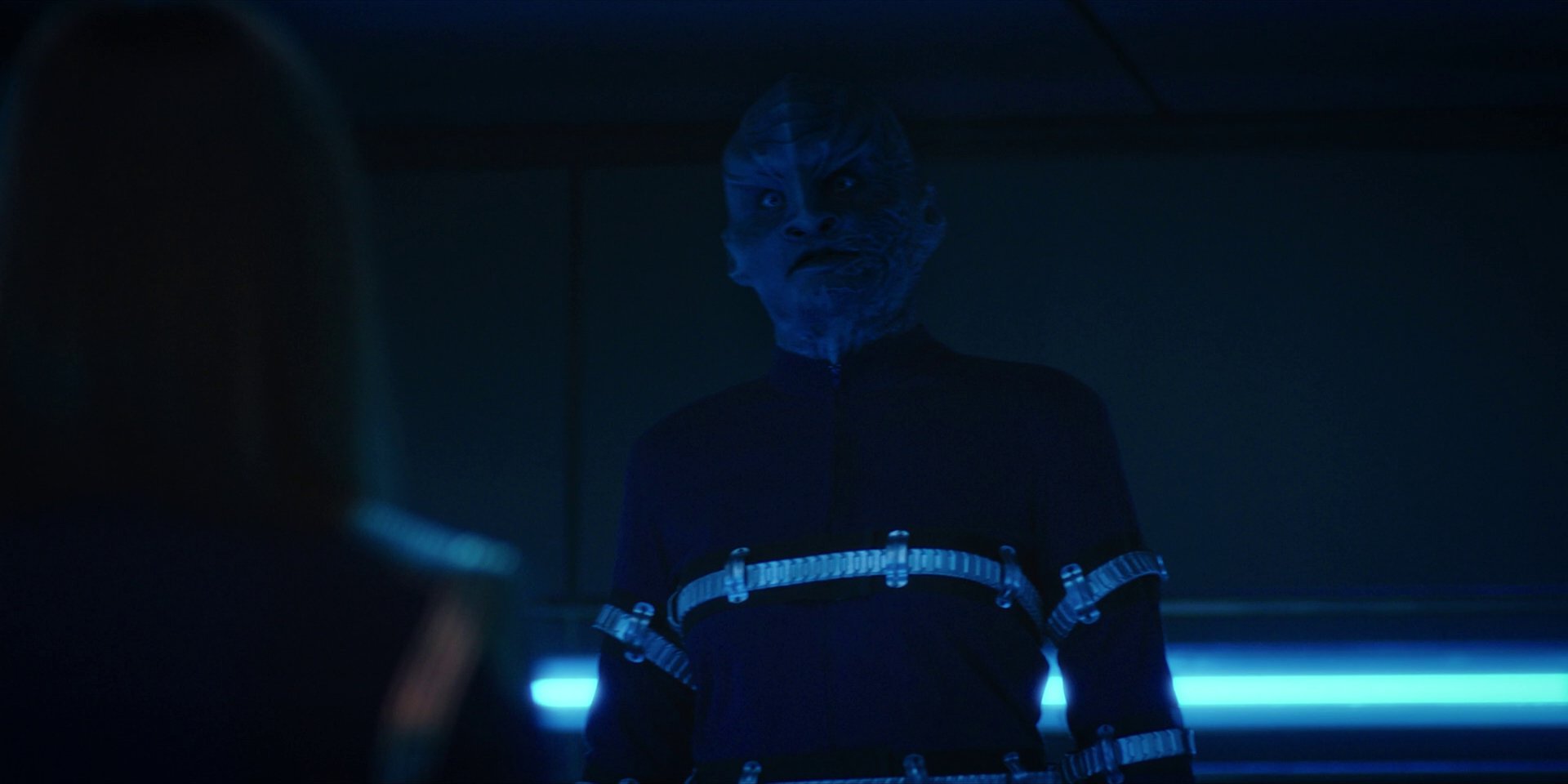 extant_StarTrekDiscovery_1x14-TheWarWithoutTheWarWithin_2524.jpg