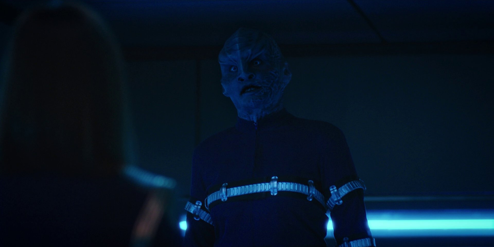 extant_StarTrekDiscovery_1x14-TheWarWithoutTheWarWithin_2525.jpg