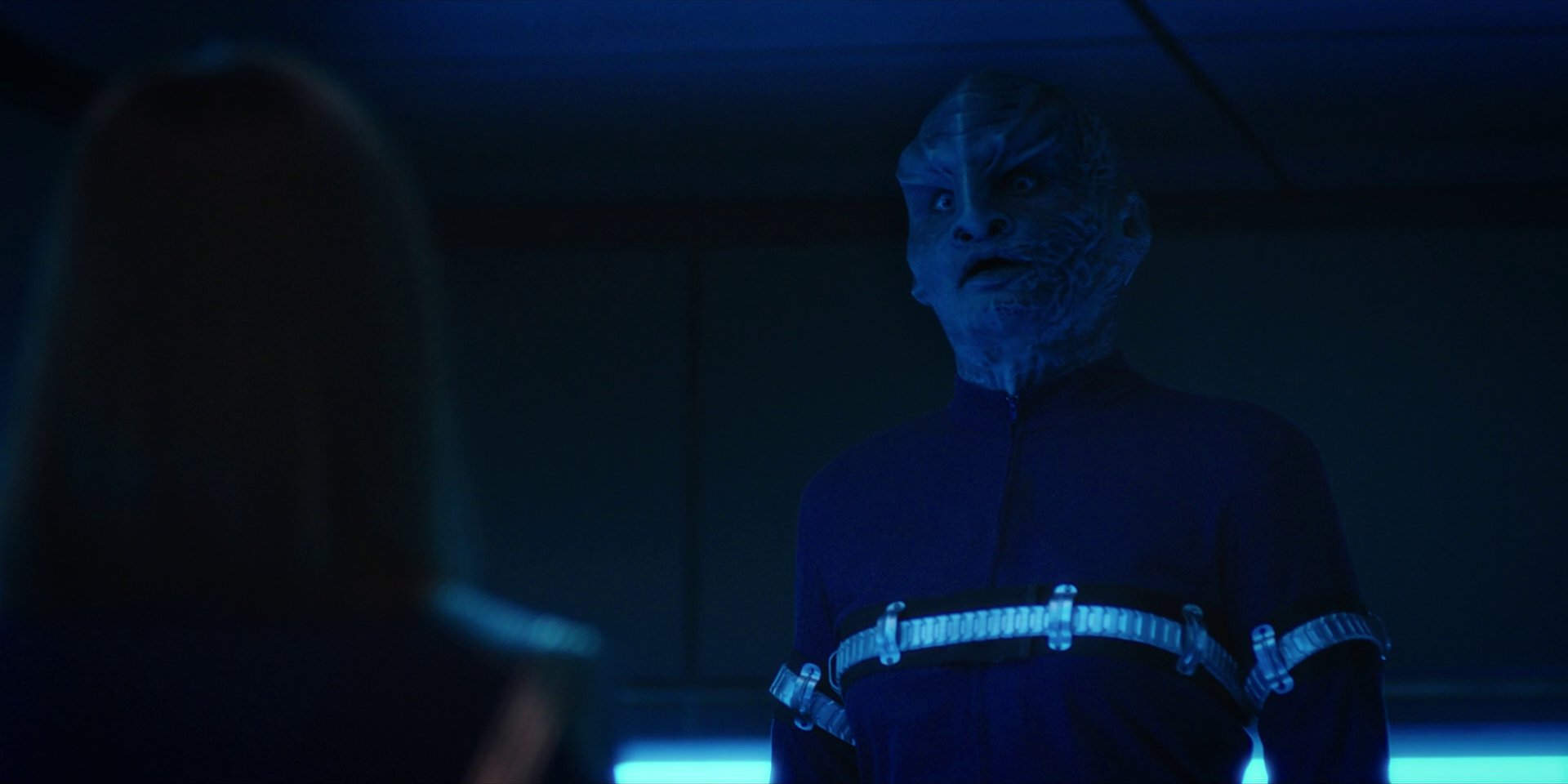 extant_StarTrekDiscovery_1x14-TheWarWithoutTheWarWithin_2527.jpg
