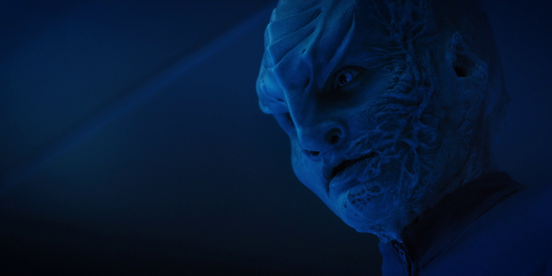 extant_StarTrekDiscovery_1x14-TheWarWithoutTheWarWithin_2549.jpg
