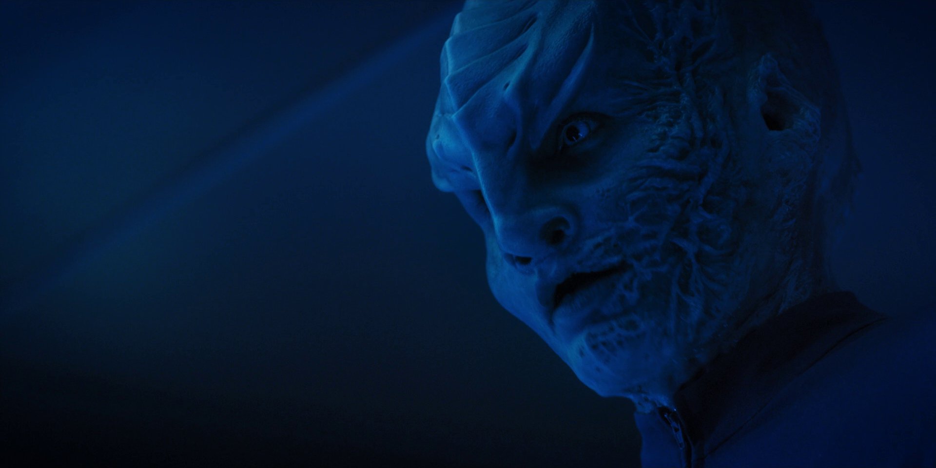 extant_StarTrekDiscovery_1x14-TheWarWithoutTheWarWithin_2550.jpg
