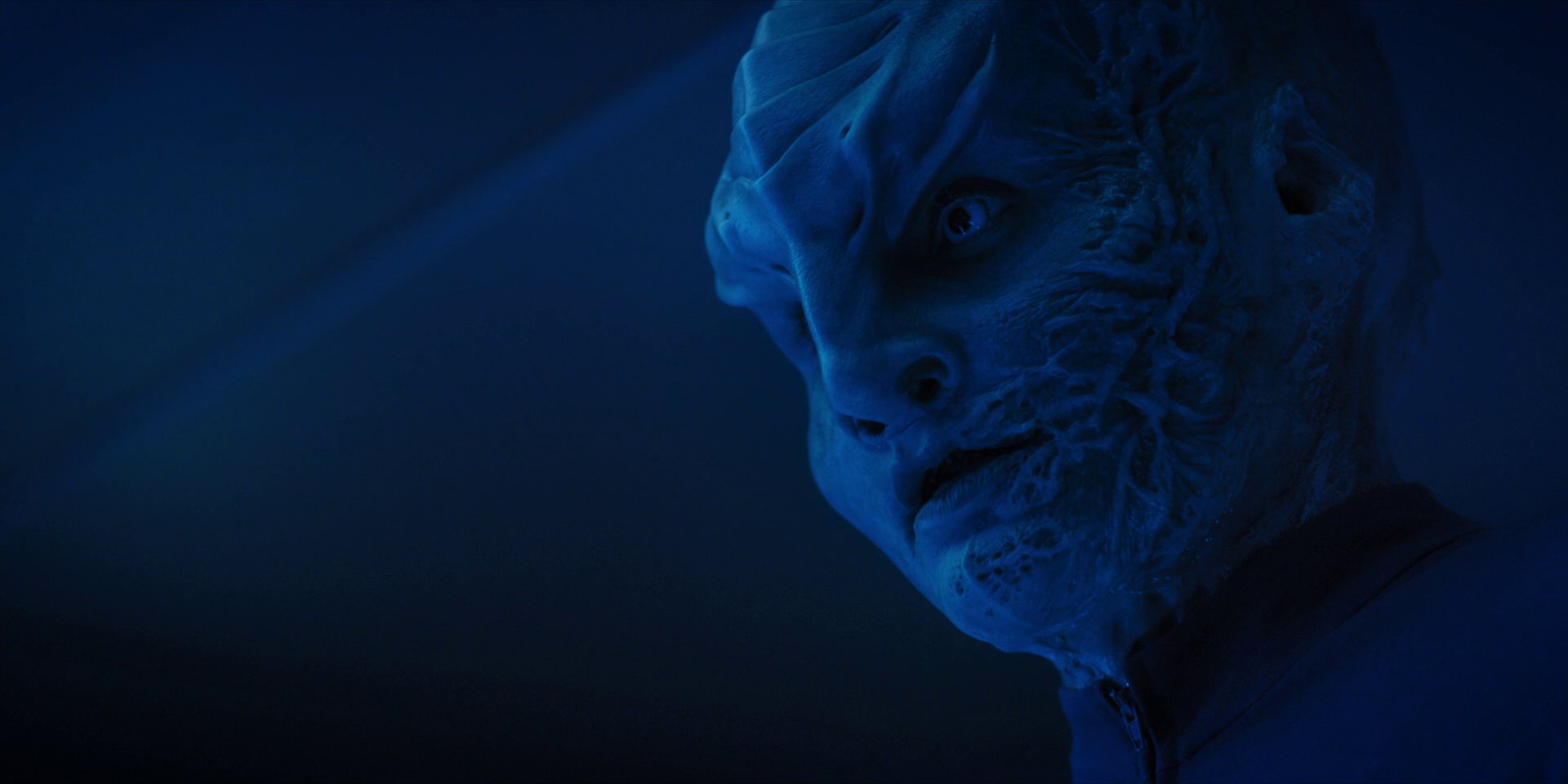extant_StarTrekDiscovery_1x14-TheWarWithoutTheWarWithin_2551.jpg