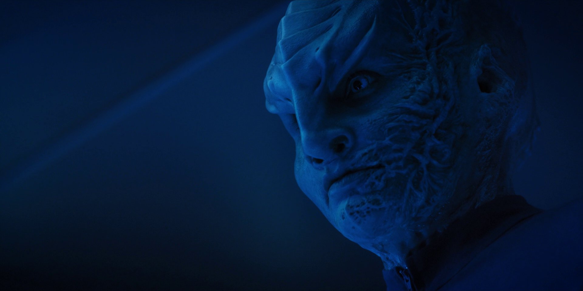 extant_StarTrekDiscovery_1x14-TheWarWithoutTheWarWithin_2566.jpg