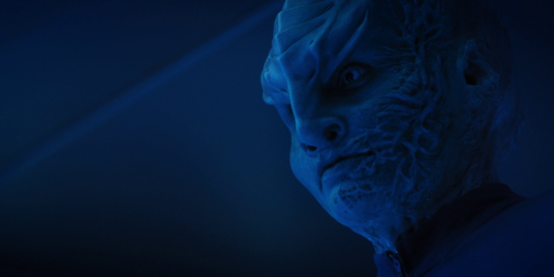 extant_StarTrekDiscovery_1x14-TheWarWithoutTheWarWithin_2567.jpg