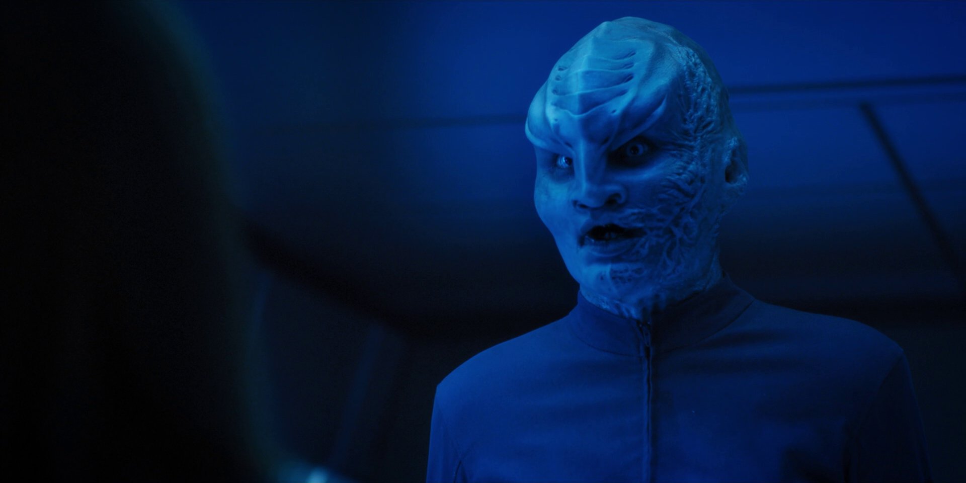 extant_StarTrekDiscovery_1x14-TheWarWithoutTheWarWithin_2590.jpg
