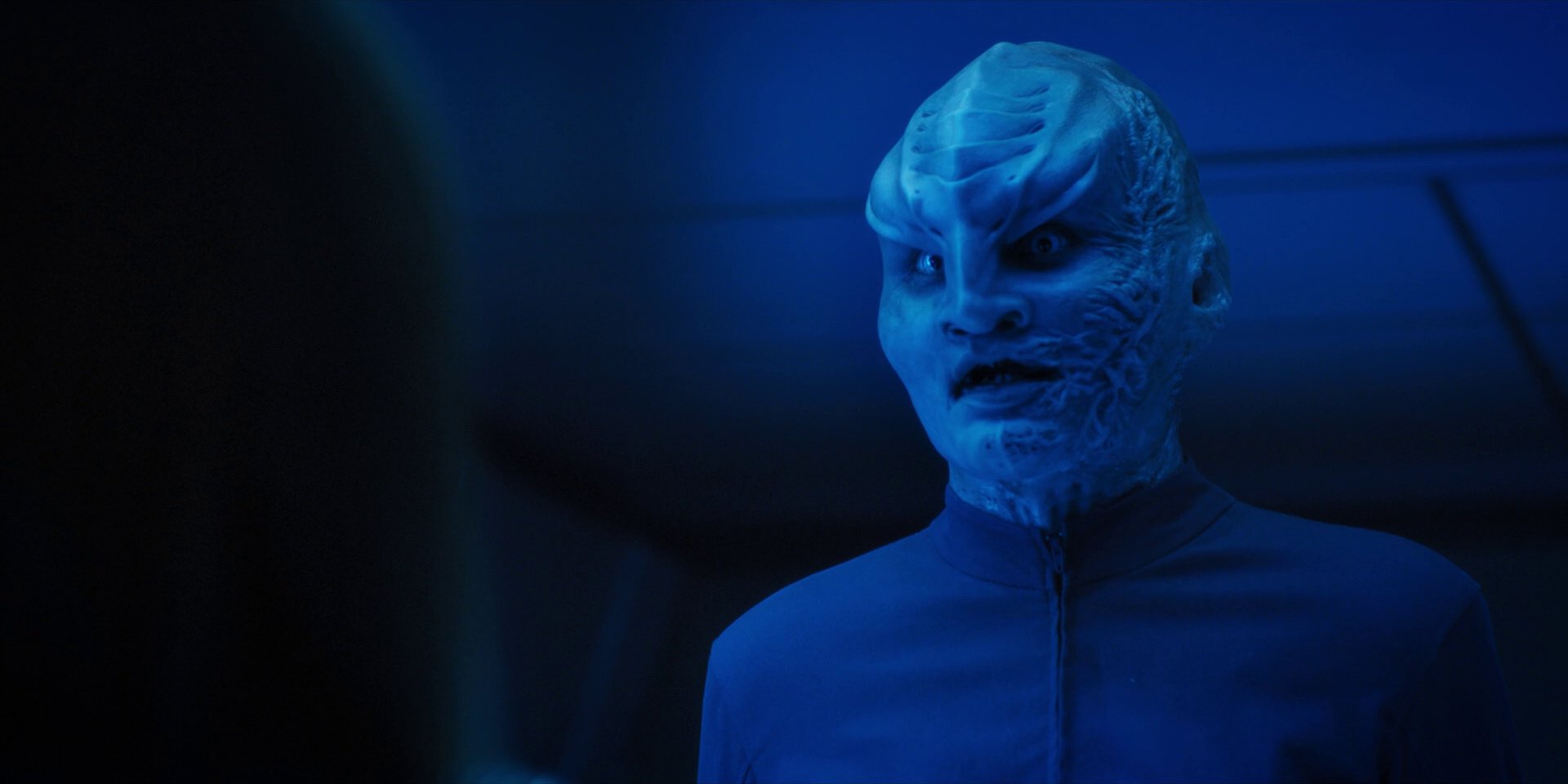 extant_StarTrekDiscovery_1x14-TheWarWithoutTheWarWithin_2592.jpg