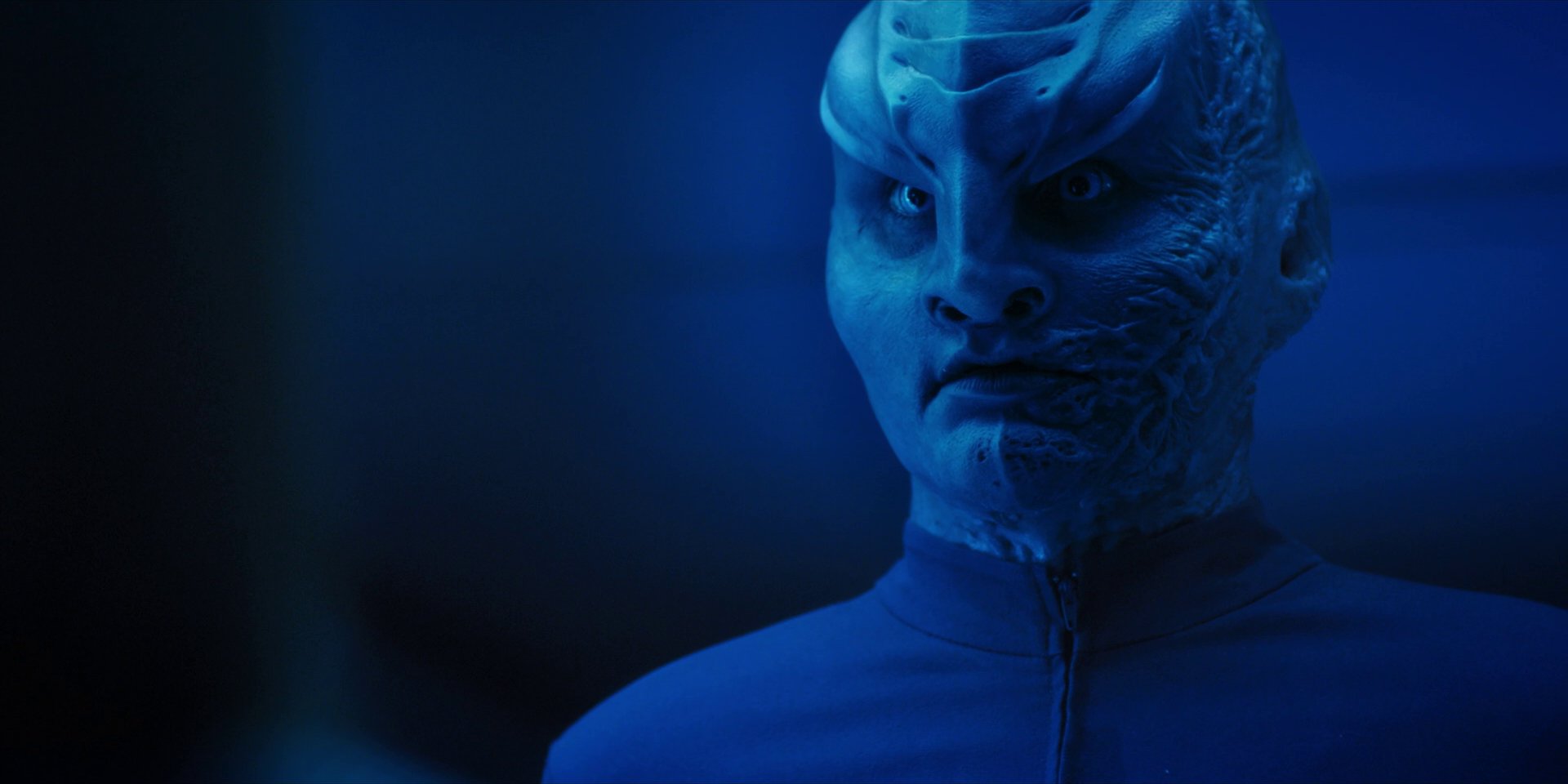 extant_StarTrekDiscovery_1x14-TheWarWithoutTheWarWithin_2613.jpg