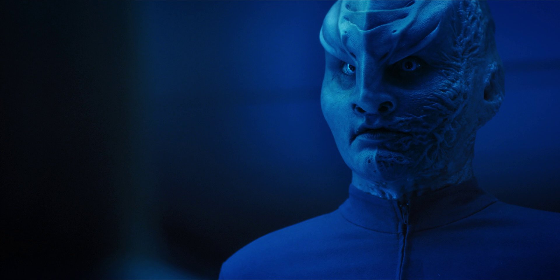 extant_StarTrekDiscovery_1x14-TheWarWithoutTheWarWithin_2615.jpg