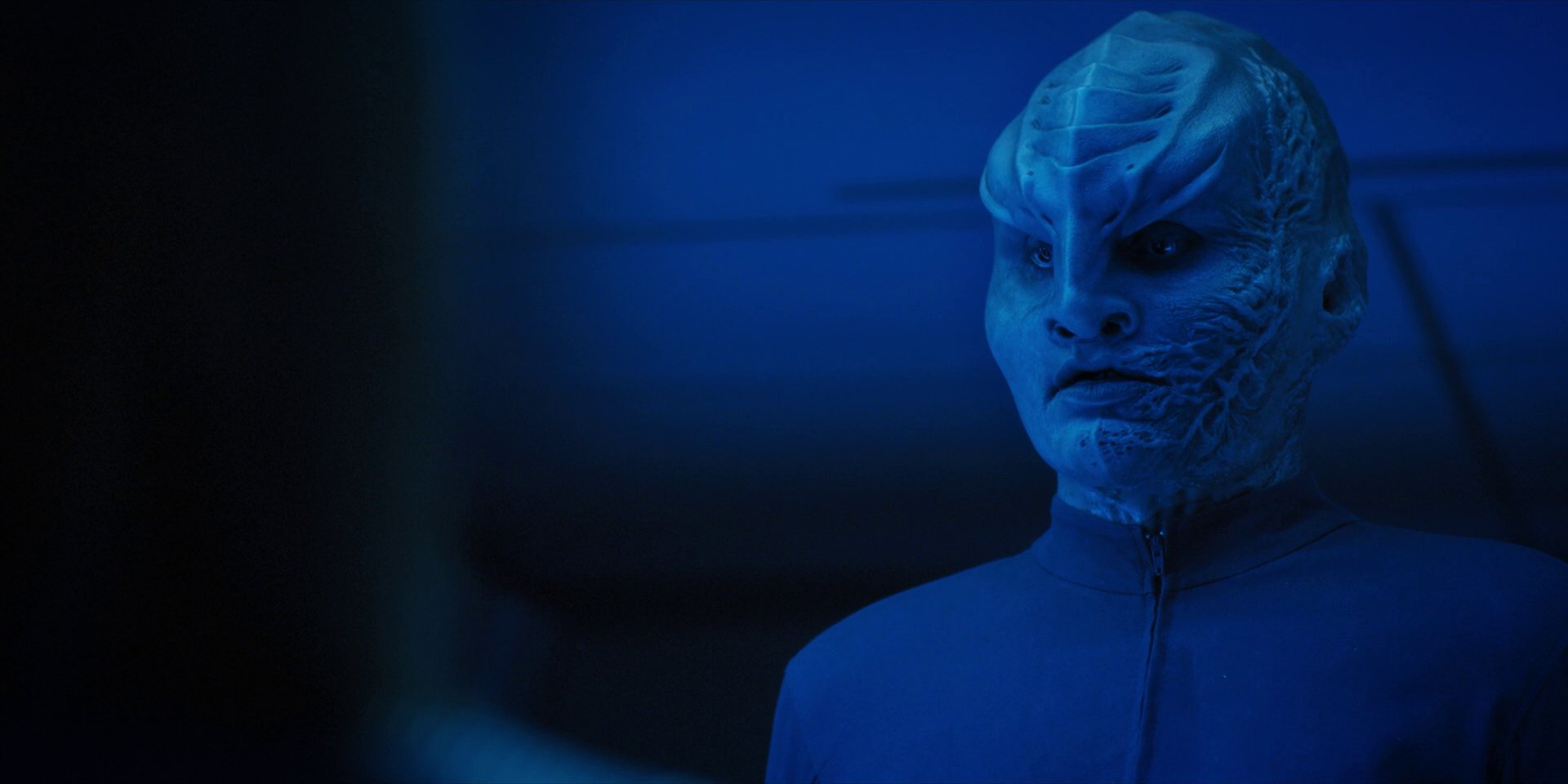 extant_StarTrekDiscovery_1x14-TheWarWithoutTheWarWithin_2625.jpg