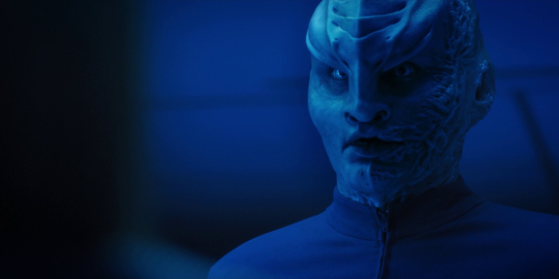 extant_StarTrekDiscovery_1x14-TheWarWithoutTheWarWithin_2652.jpg