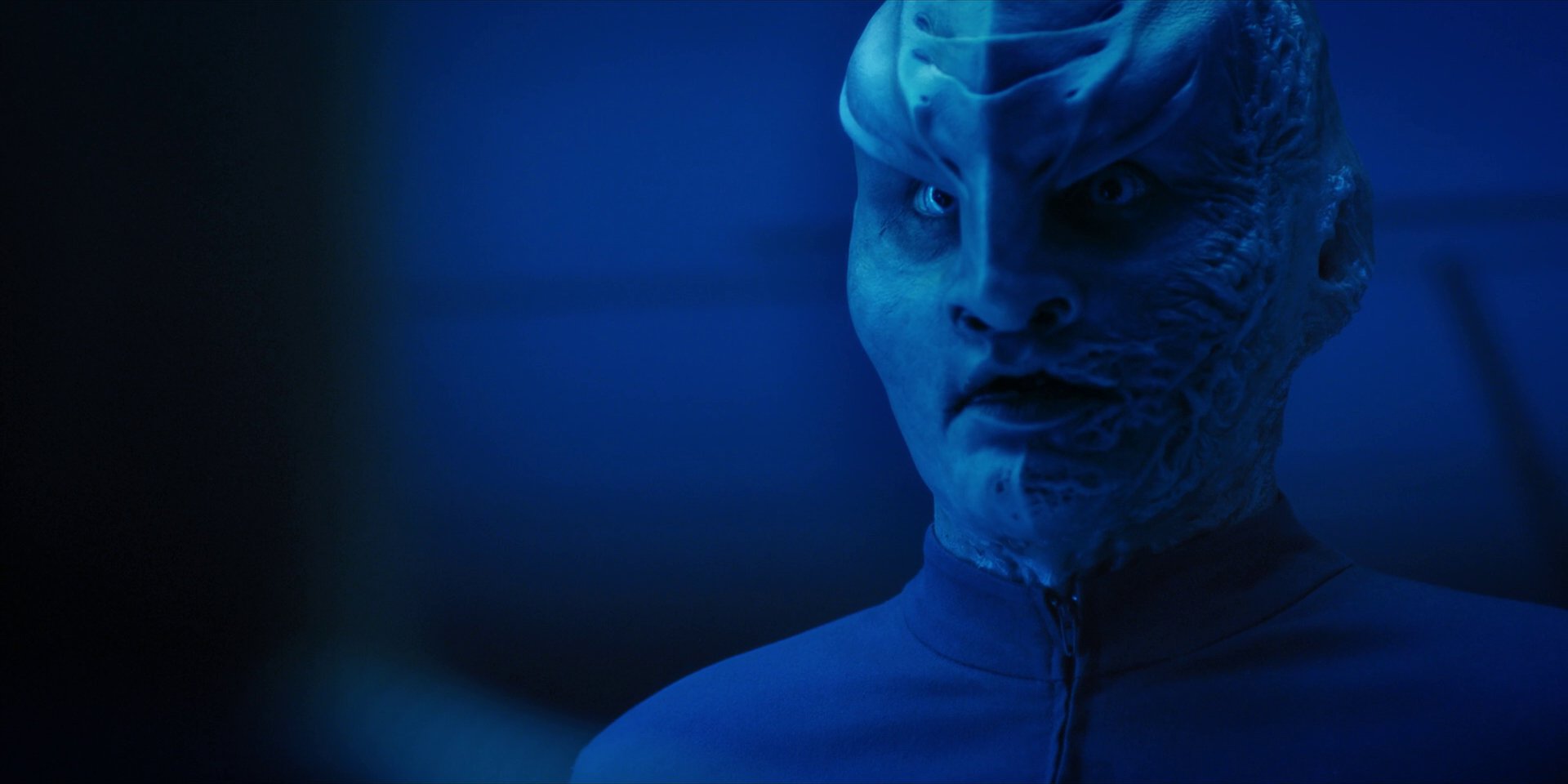 extant_StarTrekDiscovery_1x14-TheWarWithoutTheWarWithin_2654.jpg