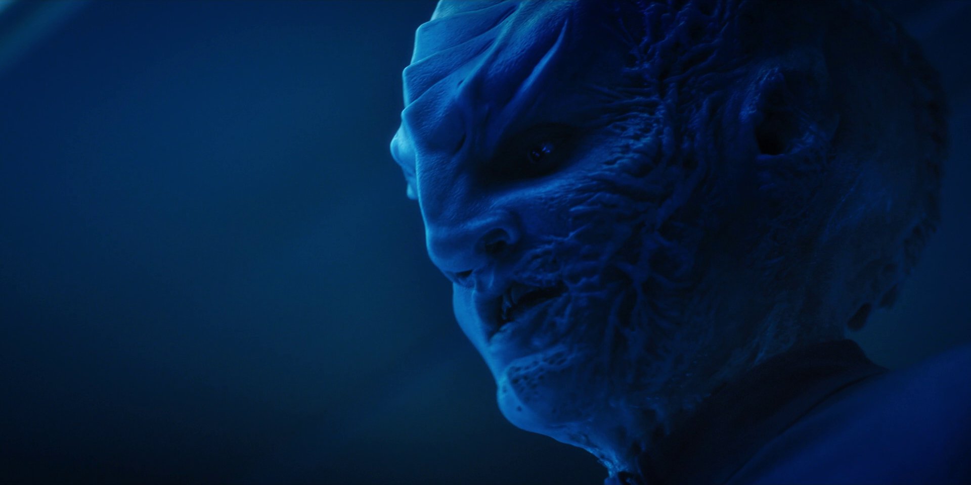 extant_StarTrekDiscovery_1x14-TheWarWithoutTheWarWithin_2674.jpg