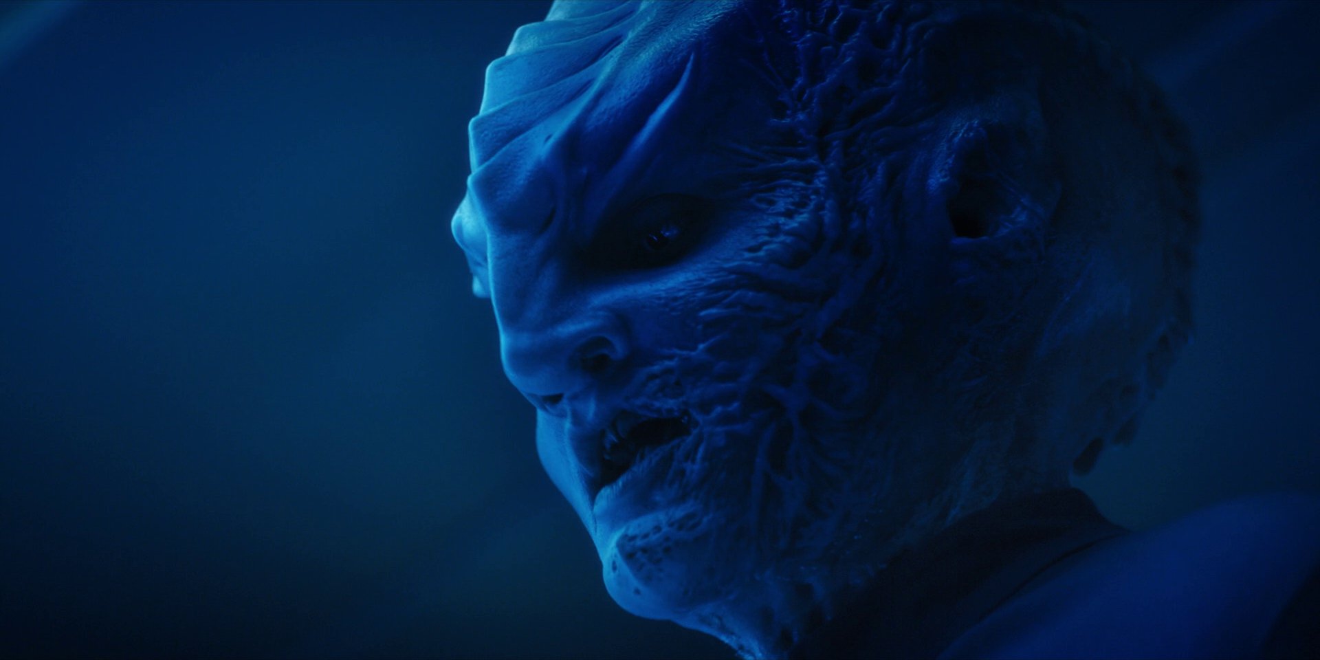 extant_StarTrekDiscovery_1x14-TheWarWithoutTheWarWithin_2675.jpg
