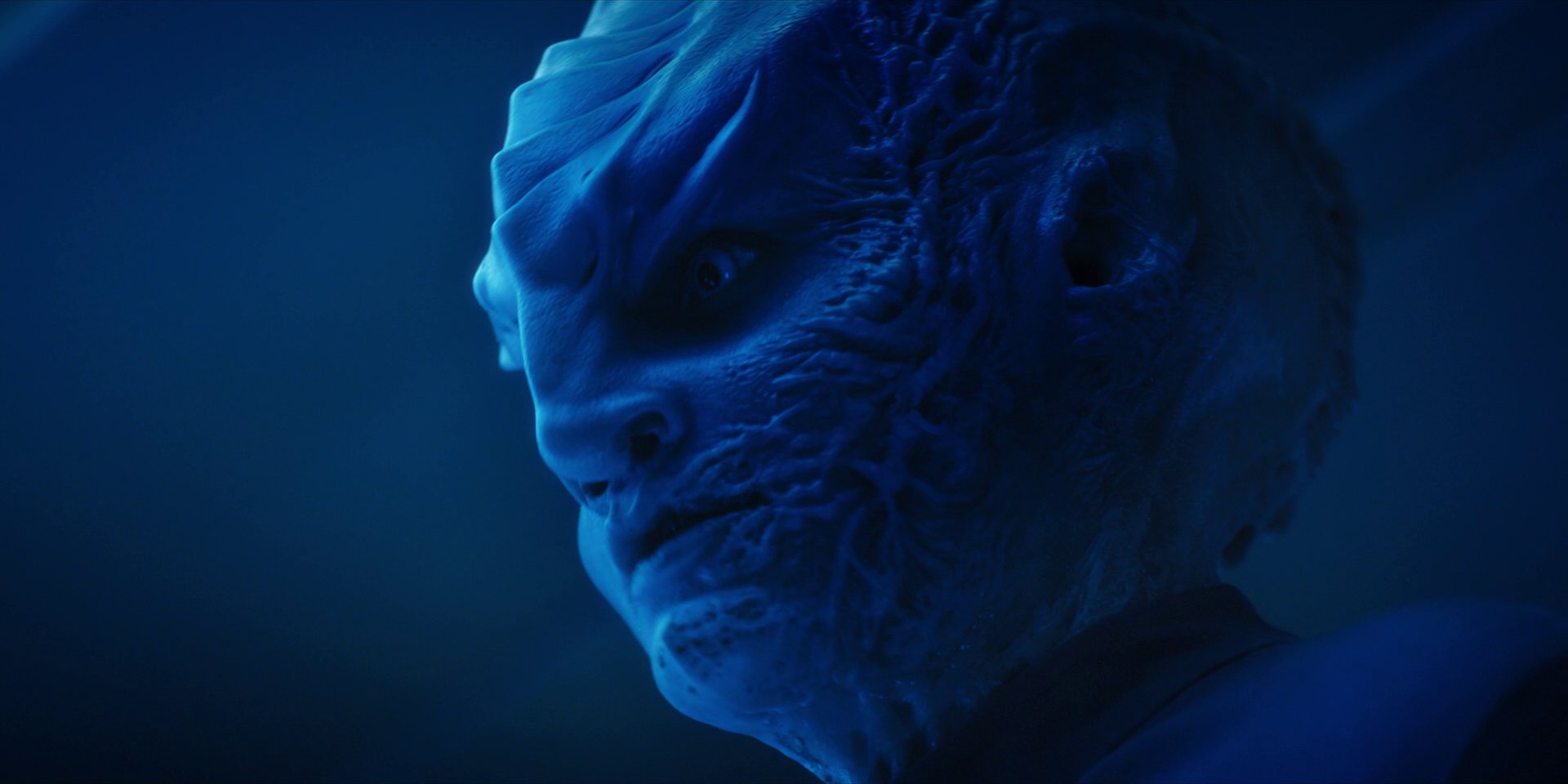 extant_StarTrekDiscovery_1x14-TheWarWithoutTheWarWithin_2676.jpg