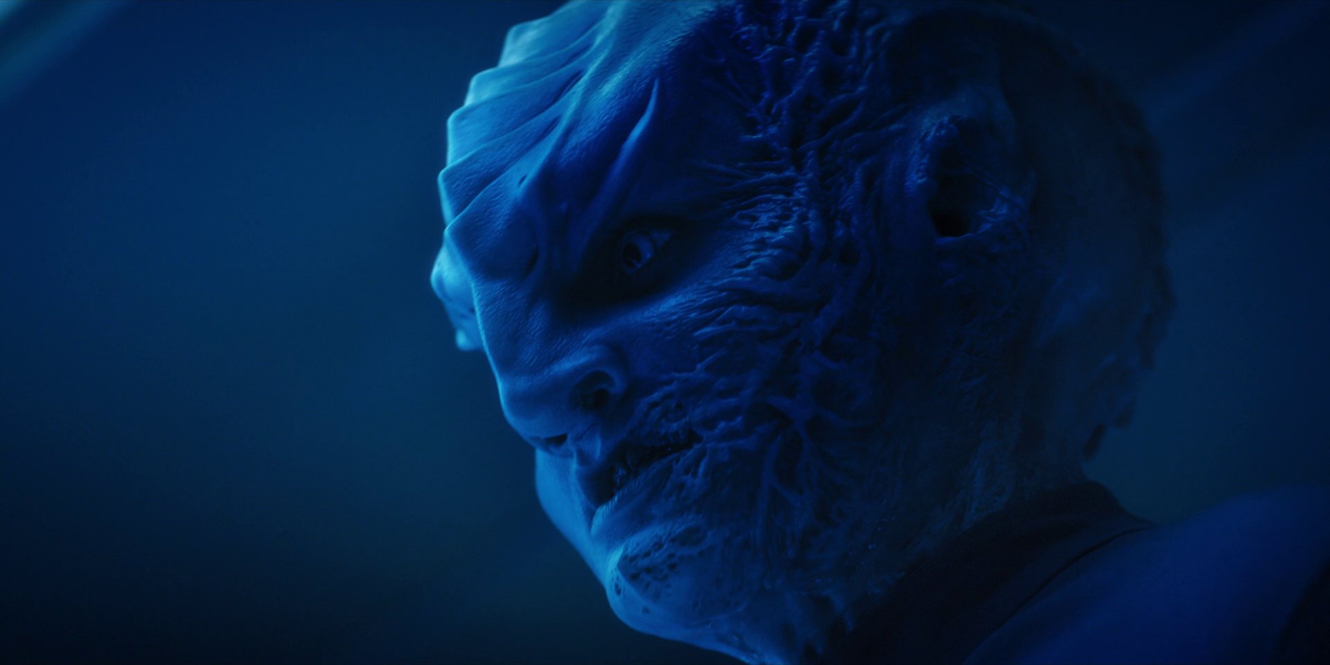 extant_StarTrekDiscovery_1x14-TheWarWithoutTheWarWithin_2678.jpg