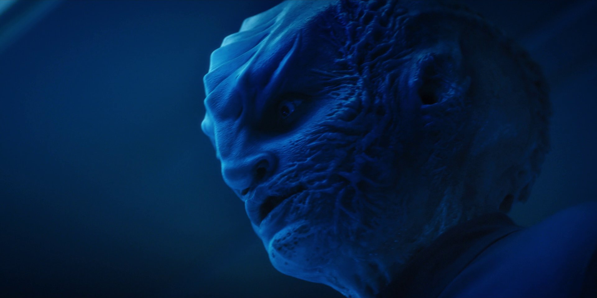 extant_StarTrekDiscovery_1x14-TheWarWithoutTheWarWithin_2679.jpg