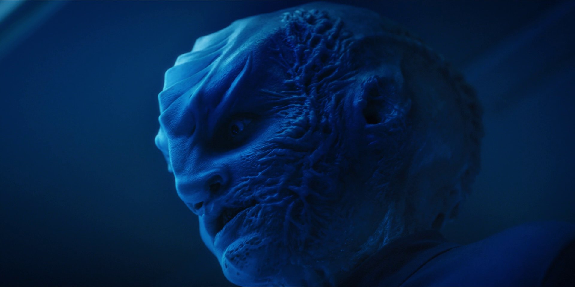 extant_StarTrekDiscovery_1x14-TheWarWithoutTheWarWithin_2680.jpg