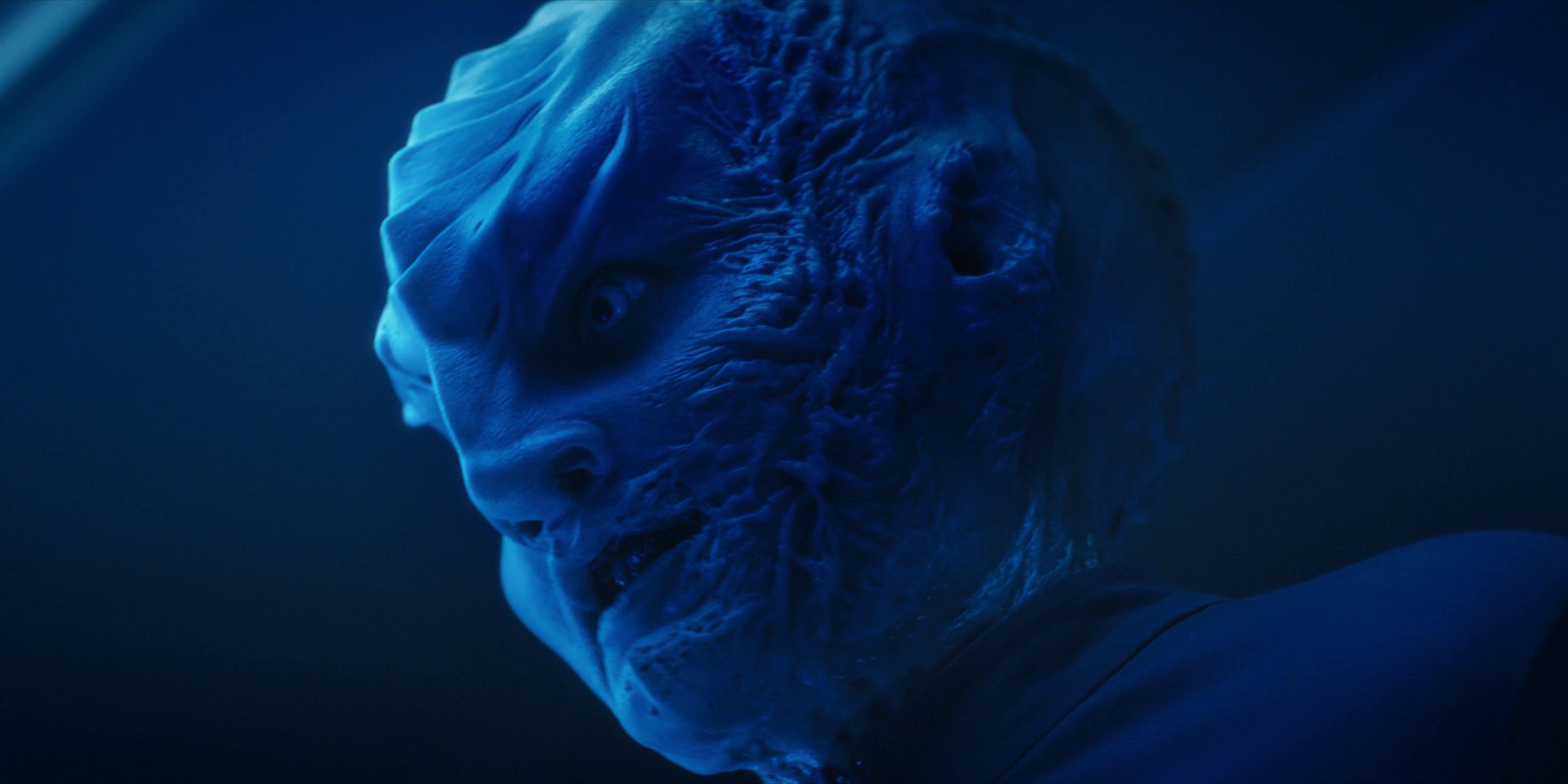 extant_StarTrekDiscovery_1x14-TheWarWithoutTheWarWithin_2683.jpg