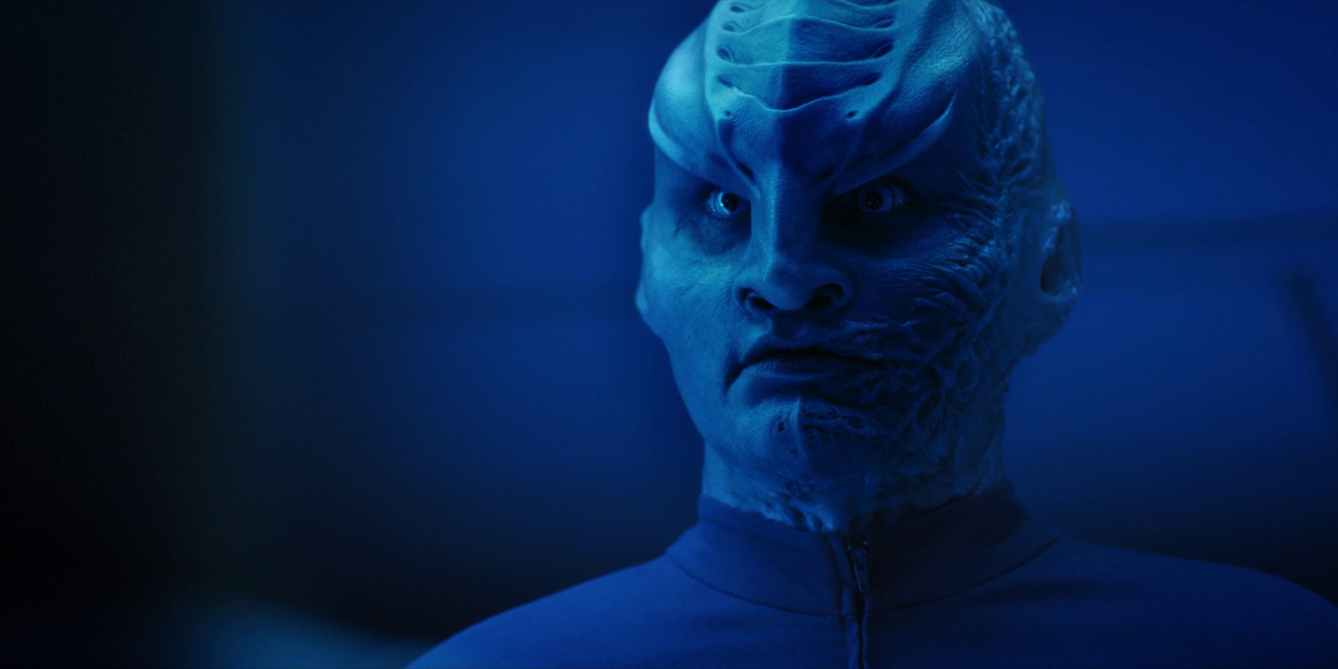 extant_StarTrekDiscovery_1x14-TheWarWithoutTheWarWithin_2691.jpg