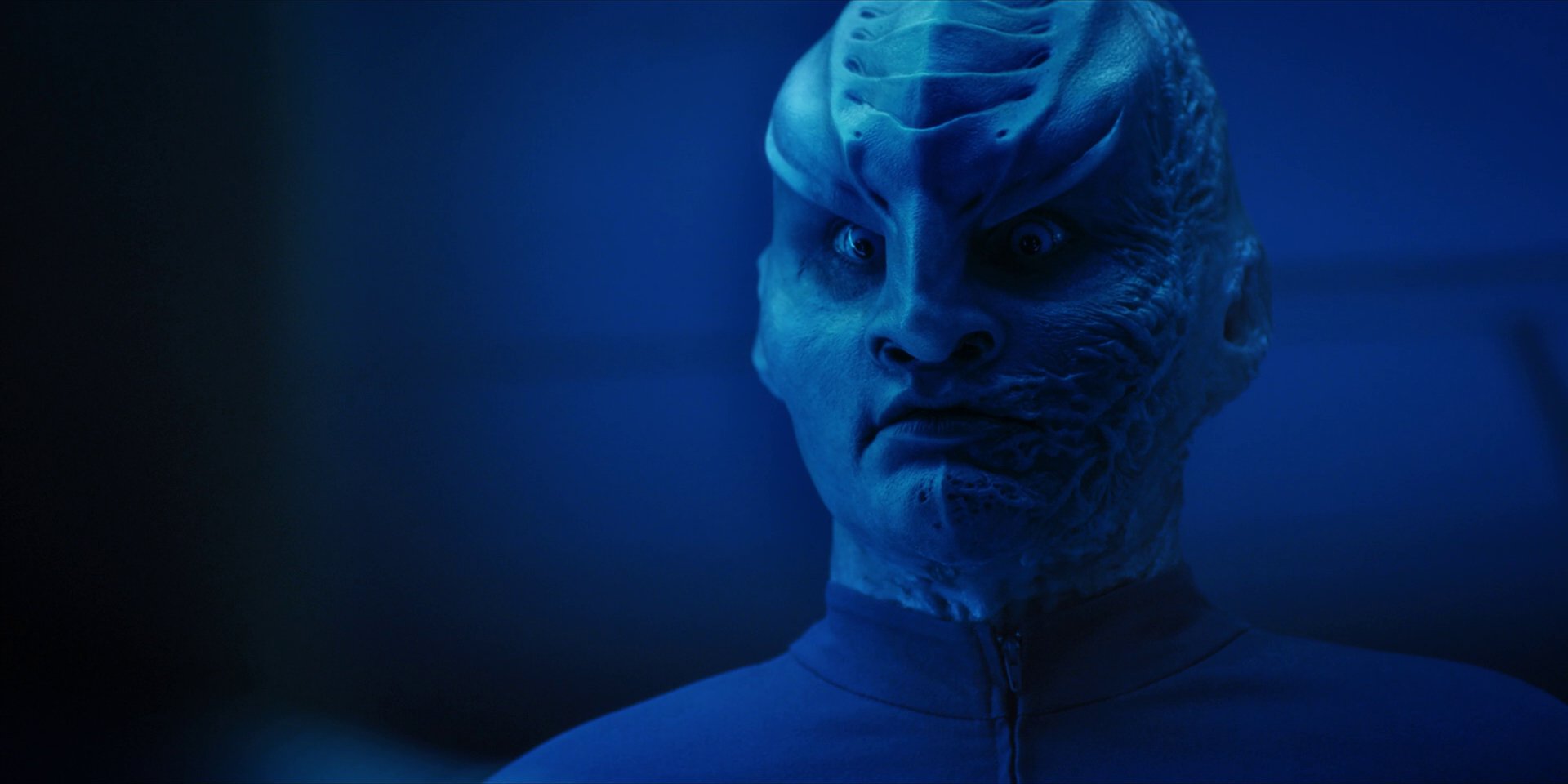 extant_StarTrekDiscovery_1x14-TheWarWithoutTheWarWithin_2692.jpg