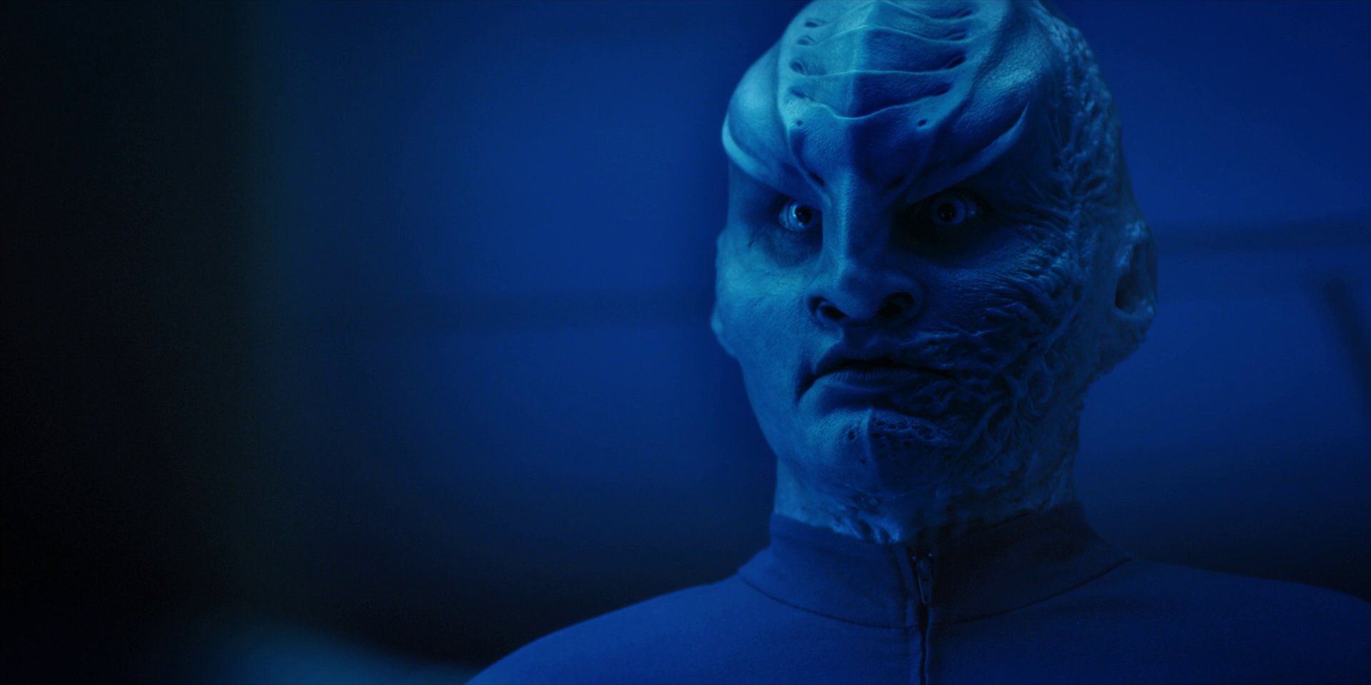 extant_StarTrekDiscovery_1x14-TheWarWithoutTheWarWithin_2695.jpg