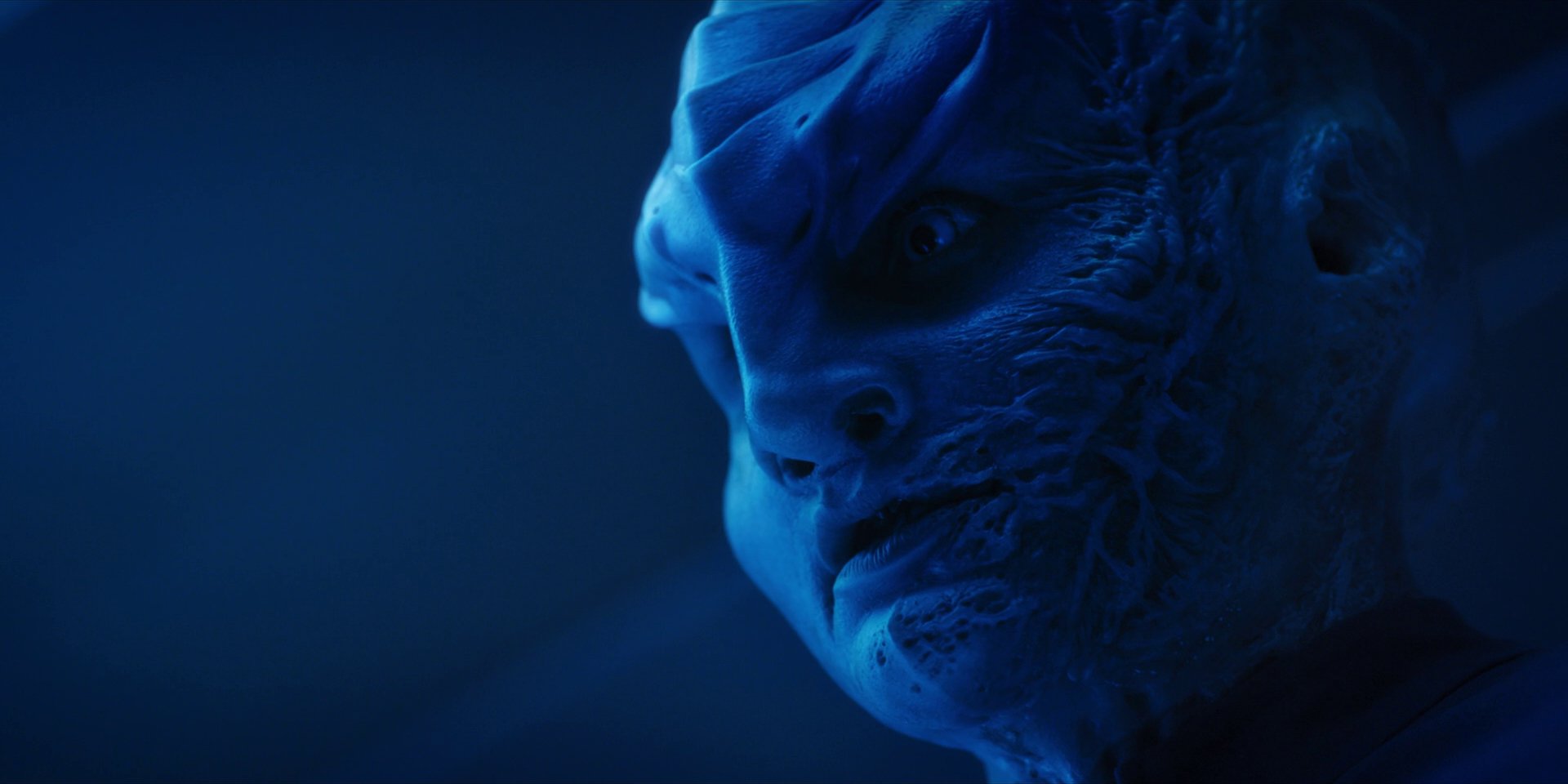 extant_StarTrekDiscovery_1x14-TheWarWithoutTheWarWithin_2724.jpg