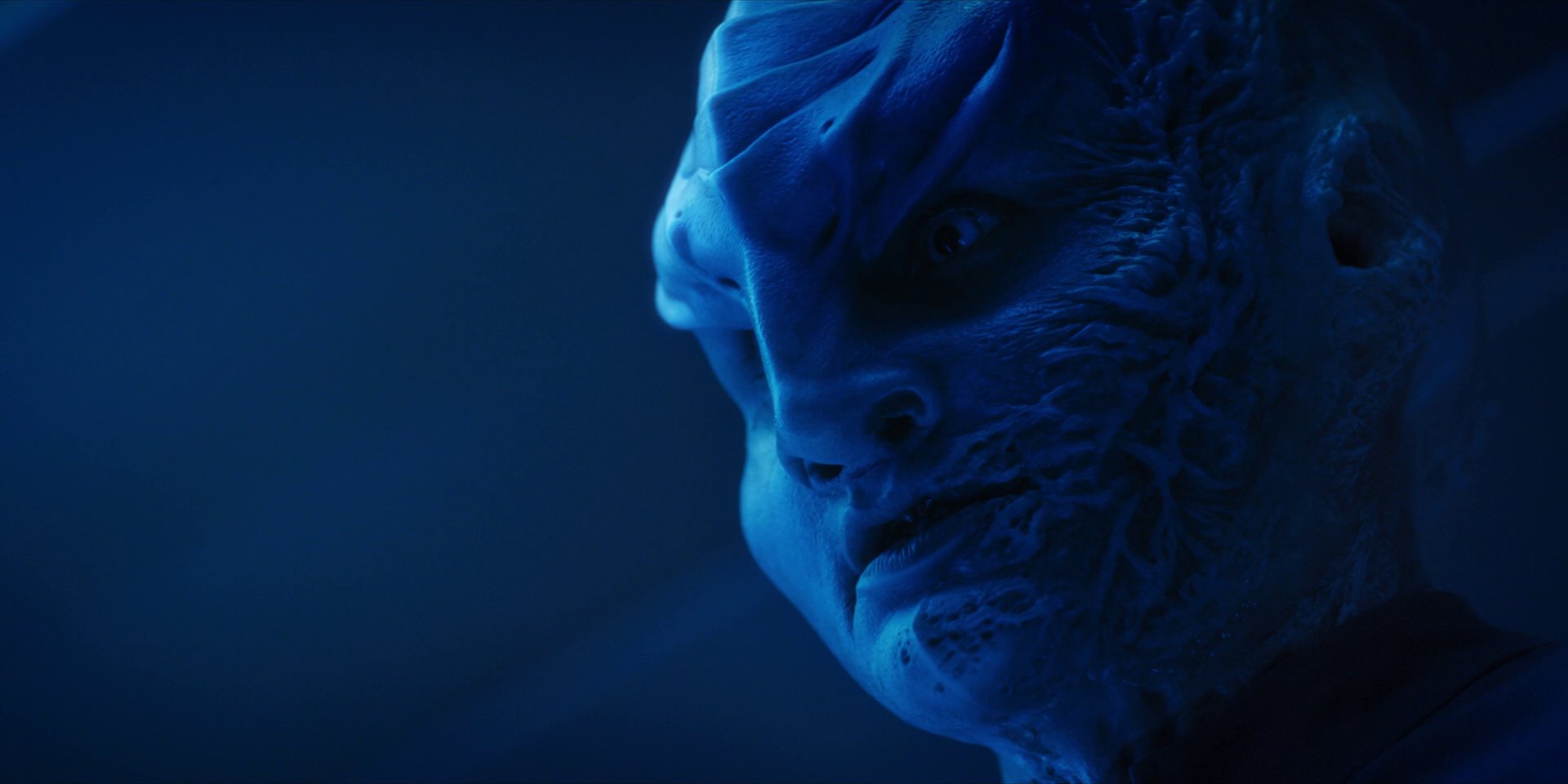 extant_StarTrekDiscovery_1x14-TheWarWithoutTheWarWithin_2725.jpg