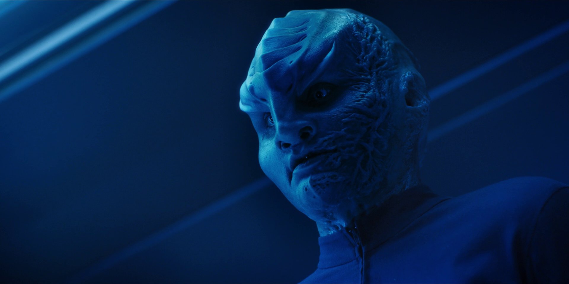 extant_StarTrekDiscovery_1x14-TheWarWithoutTheWarWithin_2733.jpg