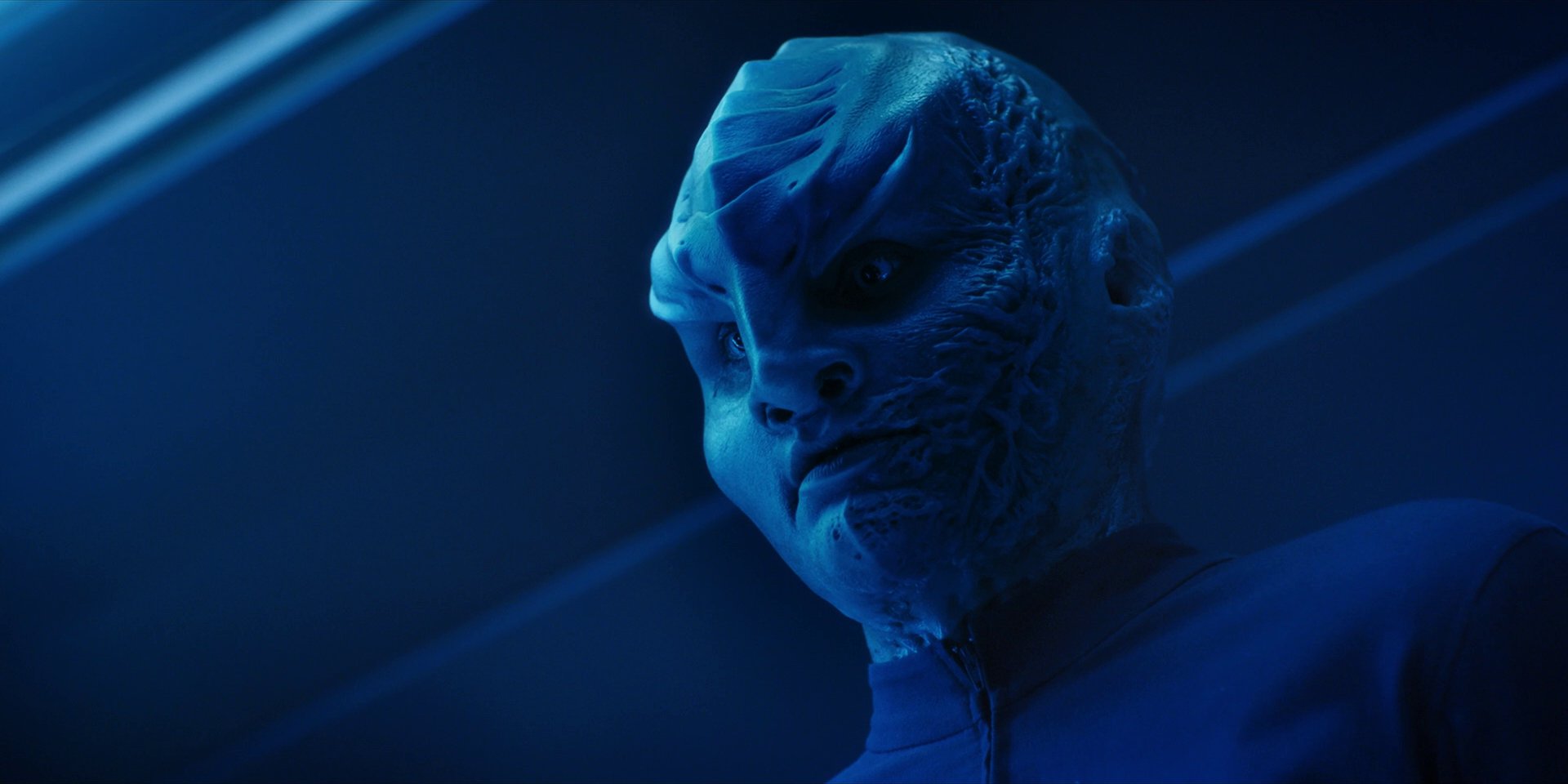 extant_StarTrekDiscovery_1x14-TheWarWithoutTheWarWithin_2734.jpg