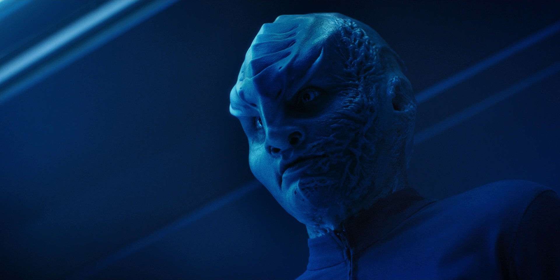 extant_StarTrekDiscovery_1x14-TheWarWithoutTheWarWithin_2735.jpg