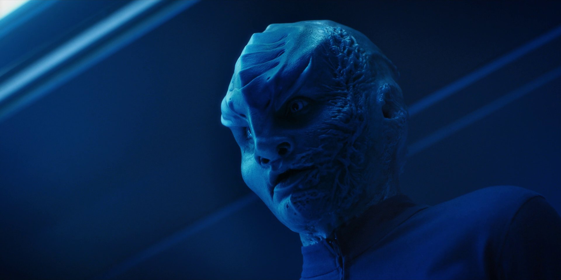 extant_StarTrekDiscovery_1x14-TheWarWithoutTheWarWithin_2737.jpg